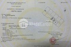 Bán căn 1202 ct4c x2 linh đàm 2pn 2vs có sổ đỏ