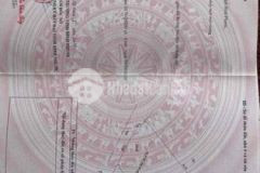 Mới cắt miếng đất rẫy cần bán nhanh đồng tâm đp