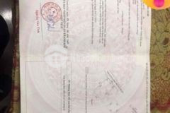 Nhà 2 tầng rưỡi kiệt thông điện biên phủ 1850