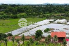 Đất mặt tiền đường 8m giá bất ngờ