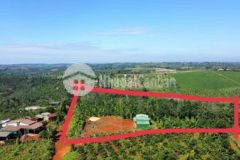 Chỉ 100 000m2 ôm 450m mặt đường cấp phối 2 hồ