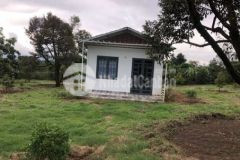 Cần bán đất hoà ninh