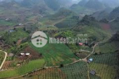 1000m2 thổ cư đất mộc châugần mườnggiá 400 ngànm2