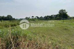 Lô thổ ấp 4 thạnh đức shr đường ôtô