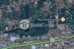 6 lô liền kềhẻm mậu thân sau chợ đầu mối tân hòa