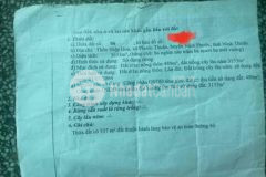 Ba bị tai biến bệnh nặng nằm tại chổ nên bán đất