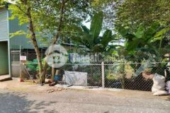 Bình mỹ củ chi bán đất diện tích 6 4m x 32