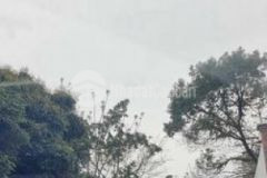 Chính chủ bán đất xã đồng trúc