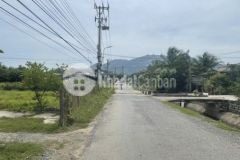 Bán đất thổ mặt tiền tỉnh lộ 7 ninh thọ ninh hòa