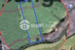 Bán đất kim bôi hòa bình dt 4823m2 đất rừng sx