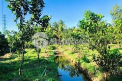 Đất công xả tam phước gần sát thành phố bến tre