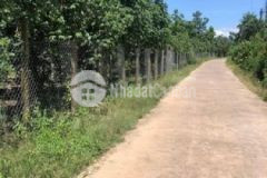 Chính chủ bán lô đất mặt tiền giá rẻ xã trà cổ