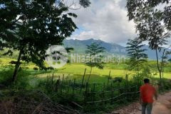 Bán 1600m 1800m tại mai châu hòa bình chỉ 490tr