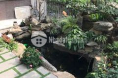 Nhà phố đảo mizuki hoàn thiện tặng hồ cá koi