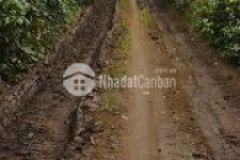 Đất cao nguyên vân hoà giá rẻ gần đường bê tông