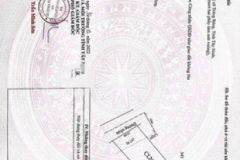 Giá ngộp 10x39m cln đường nhựa 1ty050 quy hoạch k