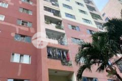 Chung cư an lộc 65m2 tầng trung căn góc