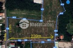 Bán 4 2ha đất 3 mặt tiền đường