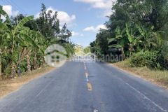 Bán nền mặt tiền ql60 thuộc xã hậu thạnh, huyện long phú, sóc trăng. cách xã hậu thạnh 1km