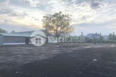 Bán hơn 2 1 hecta đất mặt tiền quốc lộ chỉ 6trm2