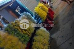 Sang nhượng ô vựa chợ hoa tươi chợ đầu mối