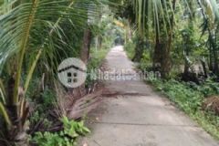 Bán đất vườn tăng nhà ở phước mỹ trung mo cay bac