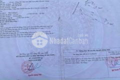 Bán nhà 2 mặt tiền lạc long quân kẹp kiệt 7m