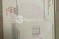 Chủ cần tiền bán nhà mới p7 tân an shr đường oto