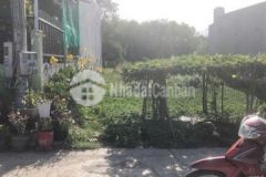 Đât hoa lơi sổ hồng công chứng ngay