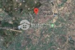 Bán gấp 5 sào đất trồng cây lâu năm ở bình thuận