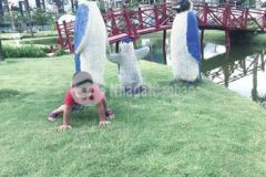 Cần bán đát tđc bến xe đức long giá tốt