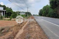 Đất mt dt793 tân biên tây ninh chỉ 210 nghìnm2