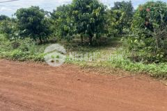 Bán gấp lô đất 1000m2giá 320 triệuđăk nông