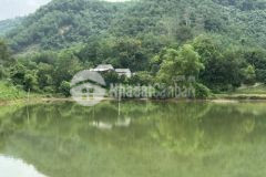 Bán đất kim bôi hoà bình bám hồ