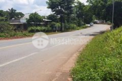 Bán 3 mẫu đất 20m mặt tiền quốc lộ 14 bù đăng bp