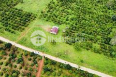 Đất ở tặng kèm đất vườn