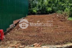 Đất ymoan bao cả khu vực