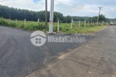 Lô đất đường nhựa suối ôm giá rẻ chính chủ