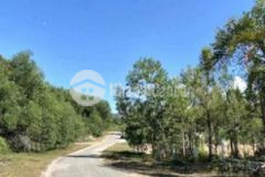 Mt đường 19 5m cơ thánh thuỷ bằng