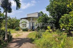 Bán vườn bưởi có sẵn nhà view suối ở đồng nai