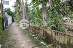 103m2 ấp tân tỉnh a,tân mỹ chánh,mỹ tho,tiền giang