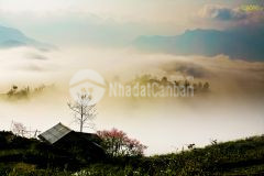 Đất nền y tý sapa 2 view săn mây,săn tuyết đẹp nhất y tý