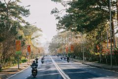 Bán đất 2 mặt tiền đẹp như mơ, f8, đà lạt