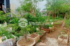 Bán đất phan xá đông anh, phân lô ô tô gần, 85m, nhỉnh 2 tỷ, 0979651399