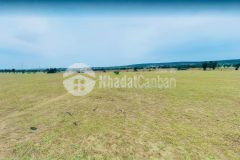 Bán gấp 8 sào sổ có hiển thị đường đi nằm gần trạm y tế xã bình tân. giá đầu tư.lh tôi có zalo