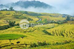 Đất nền y tý sapa2 đất nền đa dụng, đón song quy hoạch 12000