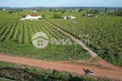 Bán đất ven biển, ngay đường đôi bàu trắng, shr