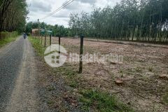 Bán đất nền tây ninh giá 4xx sổ sẳn công chứng liền trong tuần