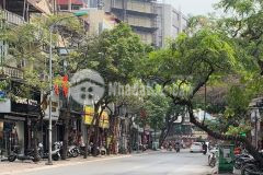 1 mặt phố 1 mặt ngõ nhỏ tiền kd đỉnh hàng hiếm. nhà lương định của 33m2 4tỷ