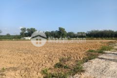 Hàng vip anh chị ơi, chỉ có tại xã minh tân, dầu tiếng, bình dương. shr, giá rẻ, bao đầu tư.